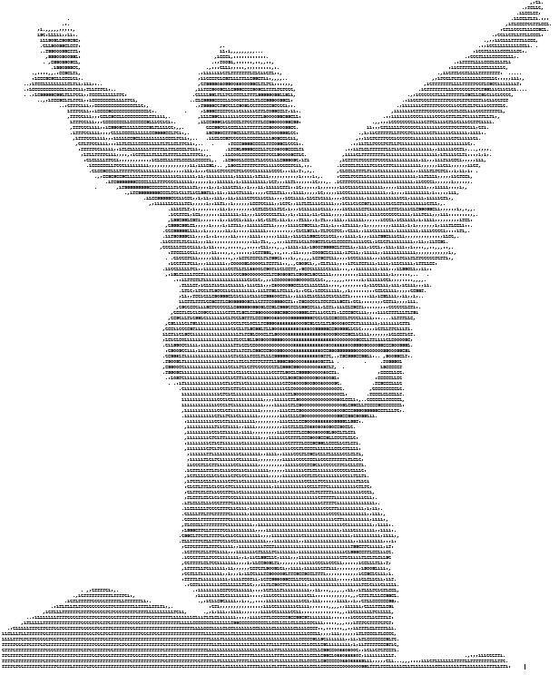 ASCII Angel