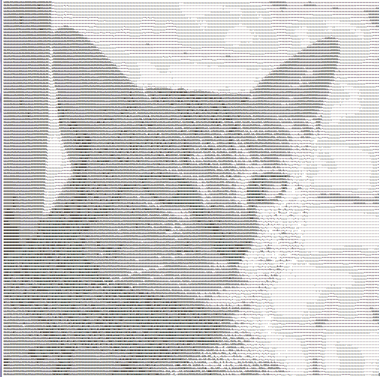 ASCII Cat Face