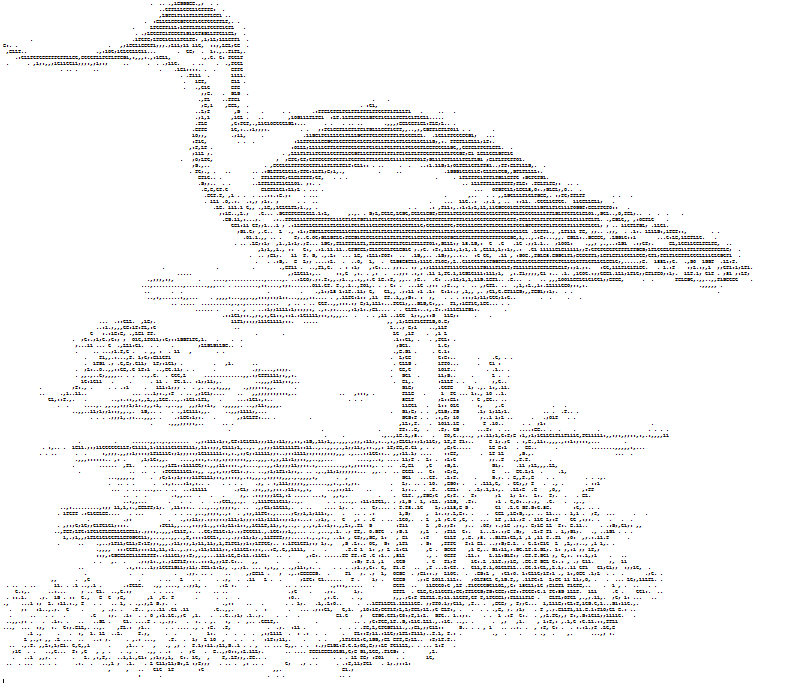 ASCII Art Avocet