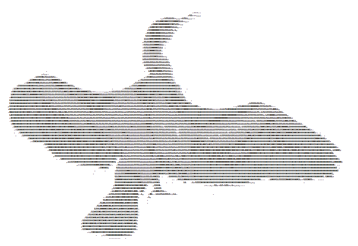 ASCII Cormorant