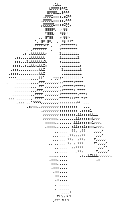 ASCII art lady shopping