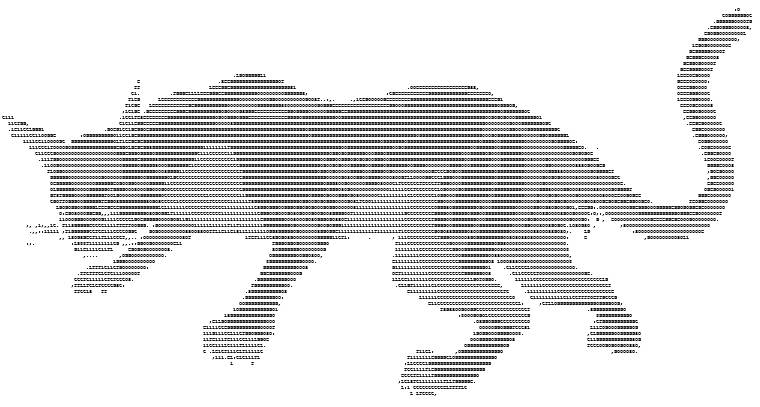 A Prowling Text art cat.