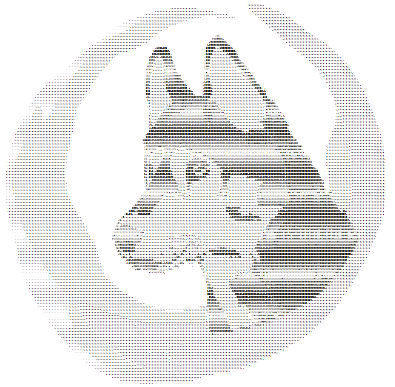 ASCII dog